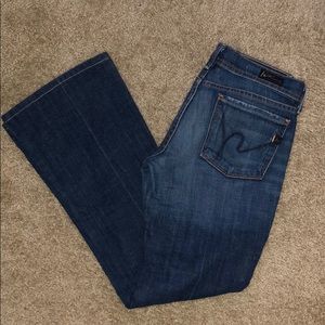 27 citizens of humanity